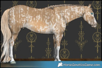 Horse Color:Chocolate Perlino Dun Splash Tobiano Brindle and Chocolate Palomino Dun Splash