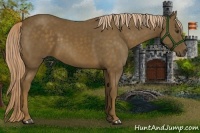 Horse Color:Chocolate Palomino