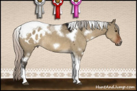 Horse Color:Gray White Spotted Silver Brown Dun Tobiano Frame Appaloosa Rabicano