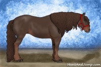 Horse Color:Liver Chestnut Rabicano 
