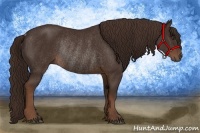 Horse Color:Liver Chestnut Rabicano