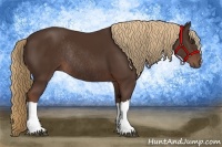 Horse Color:Liver Chestnut Rabicano 