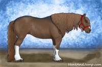 Horse Color:Liver Chestnut Rabicano 