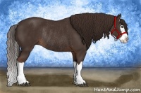 Horse Color:Liver Chestnut Splash Rabicano