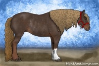 Horse Color:Liver Chestnut Rabicano 