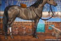 Horse Color:Brown Dun 
