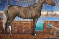 Horse Color:Silver Brown Dun 