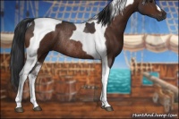 Horse Color:Bay Tobiano Rabicano