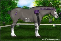 Horse Color:Grullo Sabino Splash  and Grullo Sabino Splash Frame 