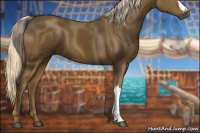 Horse Color:Chocolate Palomino 