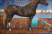 Horse Color:Liver Chestnut