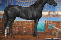 Horse Color:Gray Liver Chestnut 