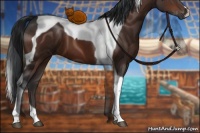 Horse Color:Bay Tobiano 