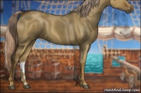 Horse Color:Chocolate Palomino Dun 