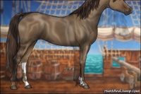 Horse Color:Liver Red Dun 
