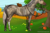 Horse Color:Silver Brown Dun