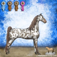 Horse Color:Liver Red Dun Appaloosa Brindle