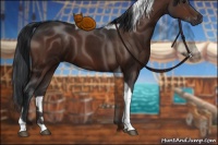 Horse Color:Bay Tobiano 