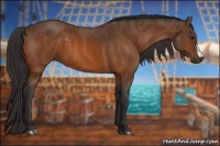 Horse Color:Buckskin 