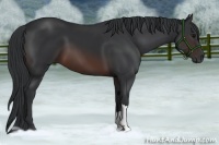Horse Color:Brown 