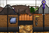 Horse Color:Liver Red Roan Tobiano 