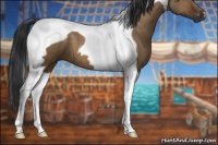 Horse Color:Brown Dun Tobiano