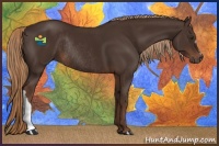 Horse Color:Liver Chestnut Rabicano 