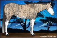 Horse Color:Grullo Sabino Splash  and Bay Dun Sabino Splash 