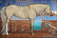 Horse Color:Chocolate Palomino Dun 