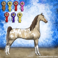 Horse Color:Buckskin Dun Appaloosa Brindle 
