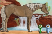 Horse Color:Chocolate Palomino 