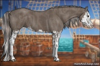 Horse Color:Grullo Sabino Splash  and Silver Grullo Sabino Splash