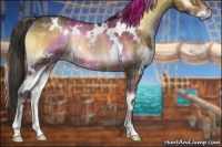 Horse Color:Plaid White Spotted Brown Onyx Rabicano