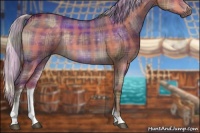 Horse Color:Plaid  Silver Brown Dun Sabino 
