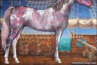 Horse Color:Plaid  White Spotted Silver Brown Dun Rabicano 