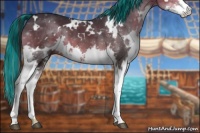 Horse Color:Painted White Spotted Brown Splash 