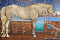 Horse Color:Liver Red Dun Pearl Sabino 