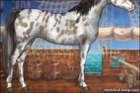 Horse Color:White Spotted Liver Red Dun Ice Appaloosa 