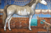 Horse Color:Liver Red Dun Ice Sabino Splash 