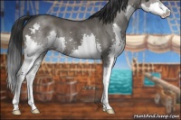 Horse Color:Grullo Sabino Splash