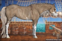 Horse Color:Silver Grullo Sabino Rabicano