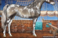Horse Color:White Spotted Silver Blue Onyx