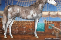 Horse Color:Liver Chestnut Ice Sabino Splash