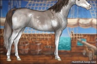 Horse Color:Liver Red Dun Sabino Splash