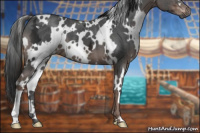 Horse Color:Gray White Spotted Liver Chestnut Ice 