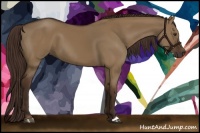 Horse Color:Liver Red Dun 