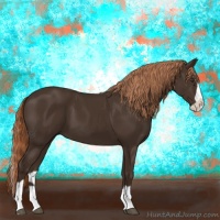 Horse Color:Liver Chestnut Splash 