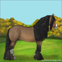 Horse Color:Gray Bay Dun Splash 