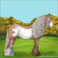 Horse Color:Silver Sable Champagne Frame 