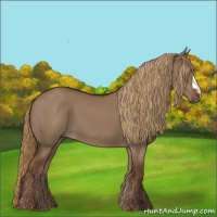Horse Color:Liver Red Dun